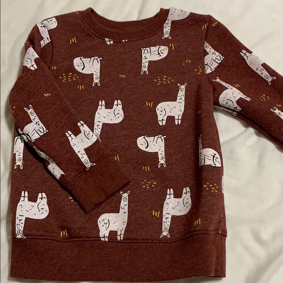 Cat & Jack Other - Llama Sweatshirt!